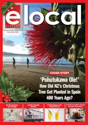 elocal Digital Edition – December 2020 (#237)